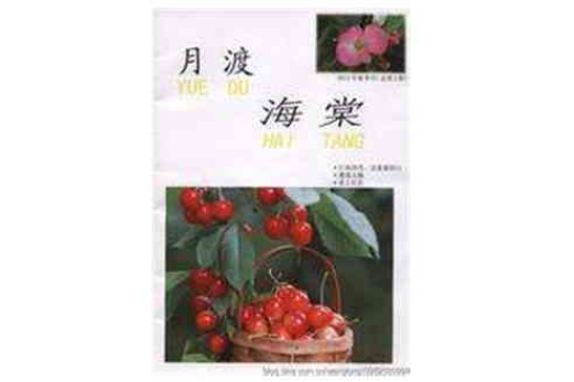 月渡海棠 月渡海棠