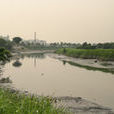 錦田河 錦田河