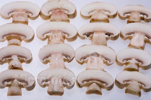 菌肉 菌肉