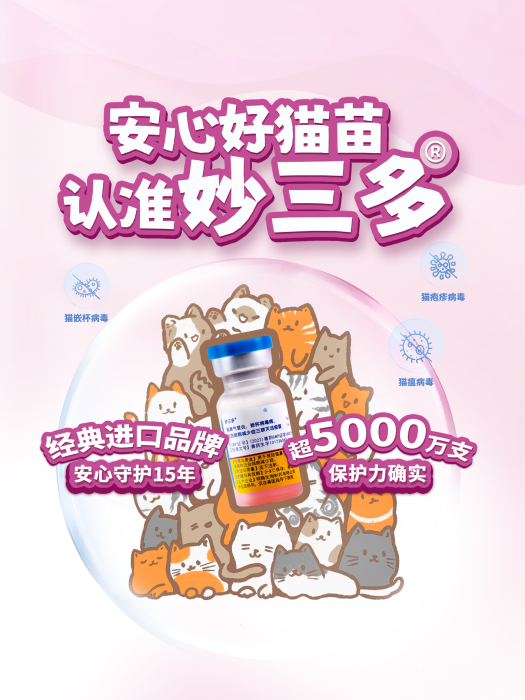 貓三聯 貓三聯