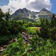 正陽山鄉 正陽山鄉