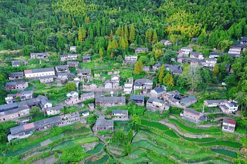 葉岩頭村 葉岩頭村