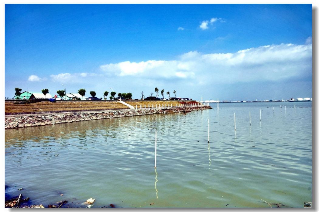 海鷗島(西藏自治區班公錯湖島嶼) 海鷗島(西藏自治區班公錯湖島嶼)