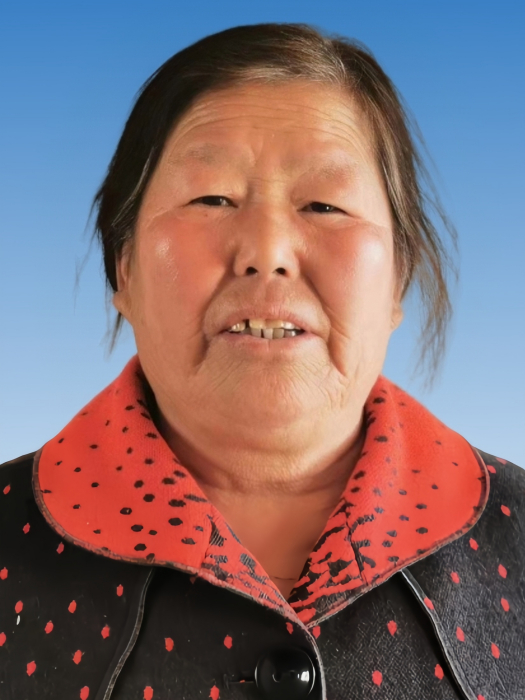 孫小艷(陝西省淳化縣城關街道辦辛店村村民) 孫小艷(陝西省淳化縣城關街道辦辛店村村民)