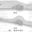 急流(水力學術語) 急流(水力學術語)
