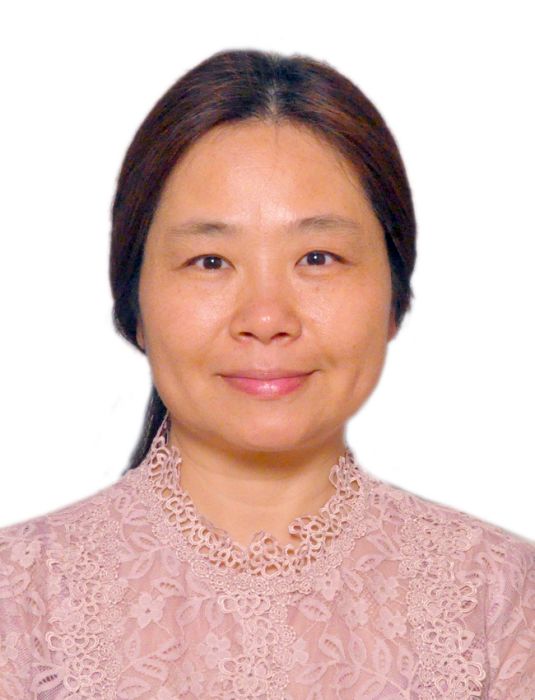 陳穎(湖南大學外國語學院講師) 陳穎(湖南大學外國語學院講師)