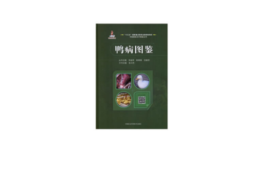 鴨病圖鑑 鴨病圖鑑