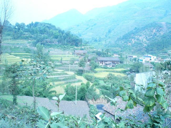 水塘邊村 水塘邊村