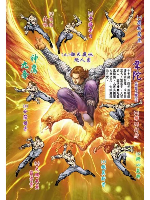 神鷹九奪 神鷹九奪