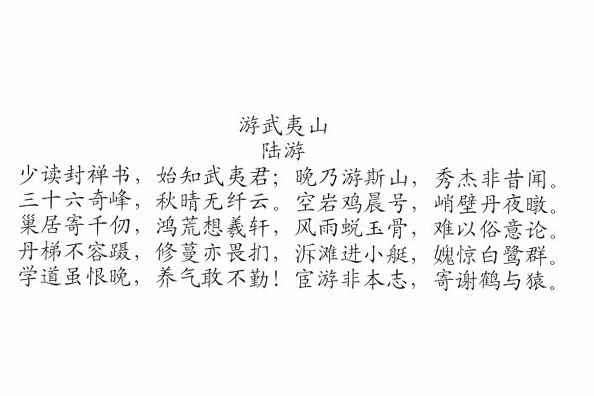 游武夷山