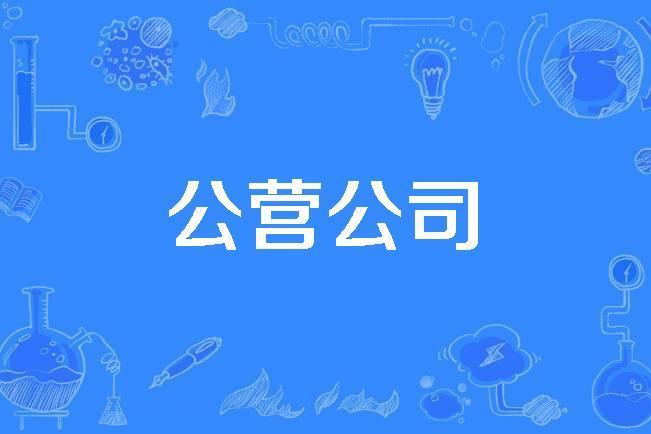 公營公司 公營公司