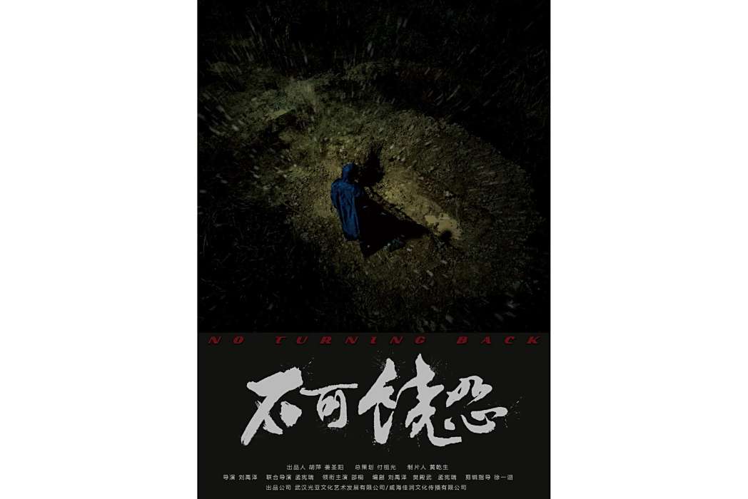 不可饒恕(劉禹澤導演的電影)