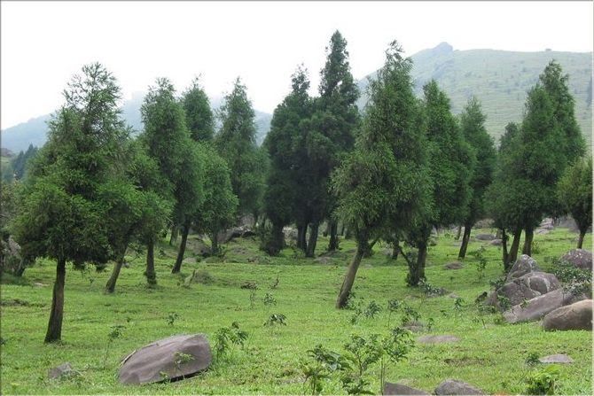 旺安村(彬縣北極鎮下轄村) 旺安村(彬縣北極鎮下轄村)