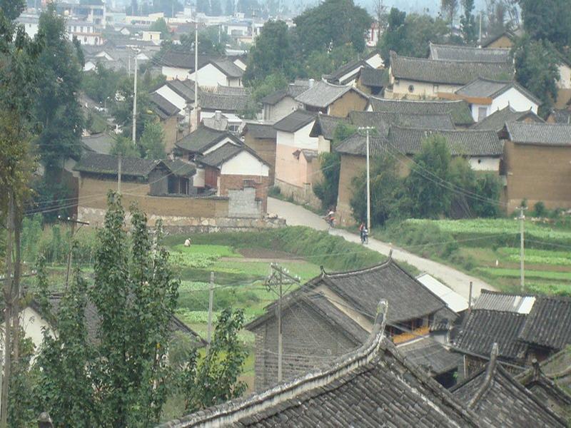 鵝墩村 鵝墩村