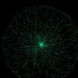 particle(物理學概念:質點) particle(物理學概念:質點)