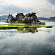 海峰濕地 海峰濕地