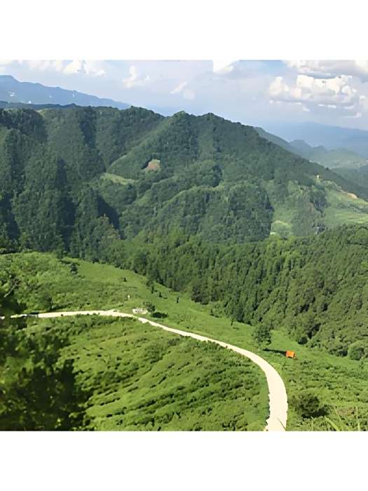 鄉野志剛 鄉野志剛