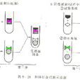 補體結合試驗 補體結合試驗