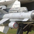 Kh-29反艦飛彈 Kh-29反艦飛彈