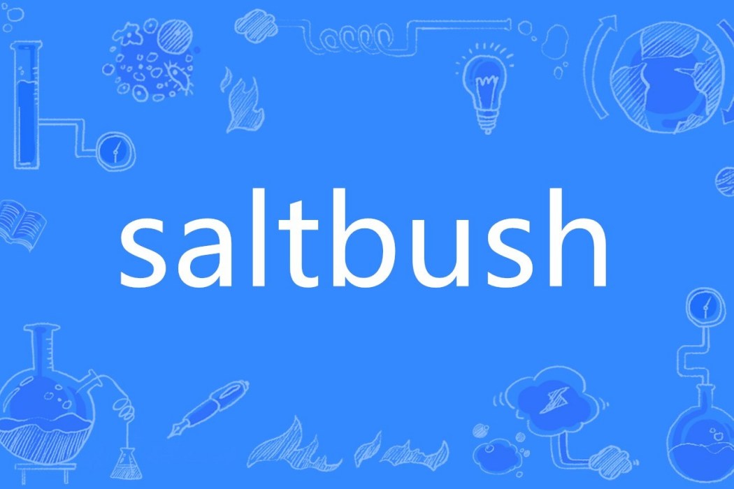 saltbush saltbush