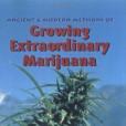 Growing Extraordinary Marijuana Growing Extraordinary Marijuana