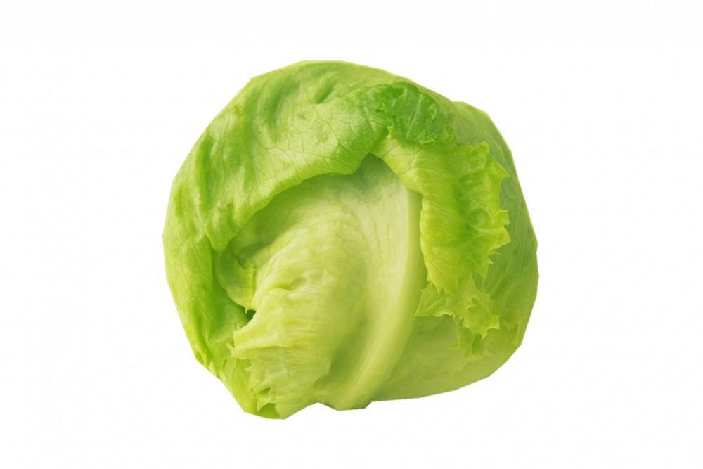 原生菜