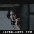 黑色蝴蝶(德國2011年寶拉凡德奧斯特執導電影) 黑色蝴蝶(德國2011年寶拉凡德奧斯特執導電影)