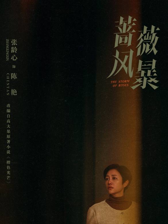 薔薇風暴(2024年惠楷棟執導的職場劇)
