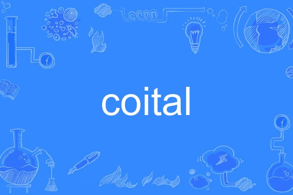 coital coital