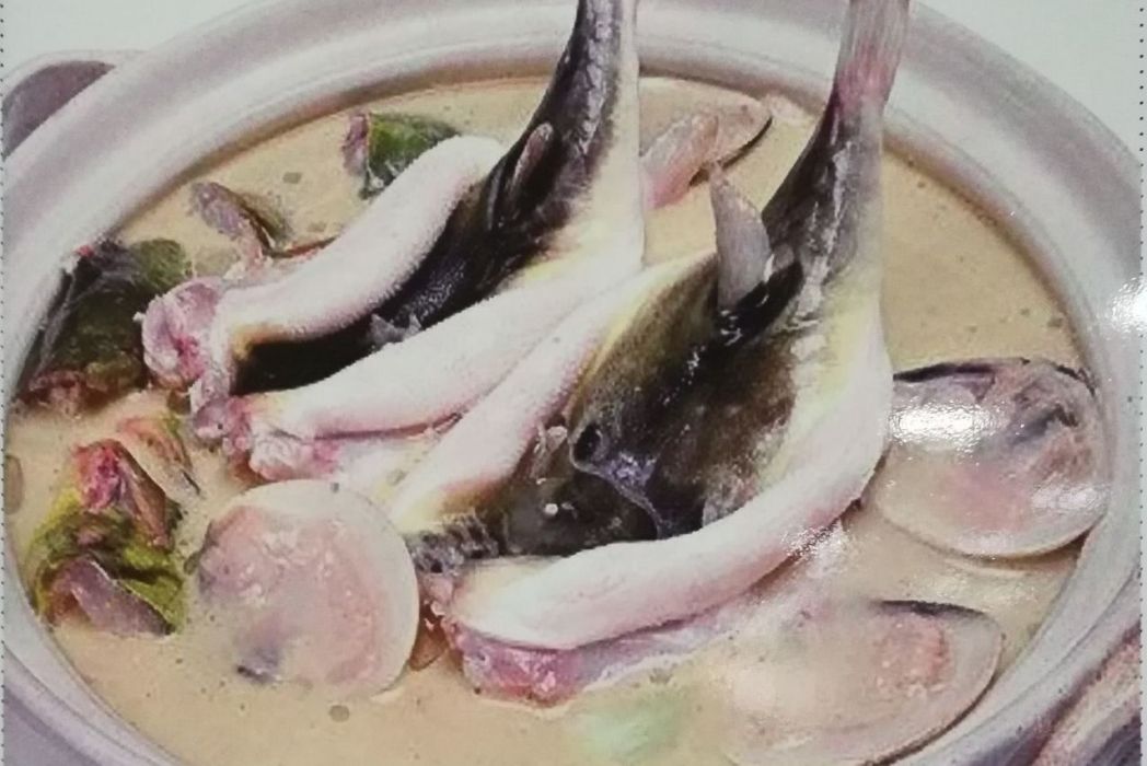 海安河豚 海安河豚