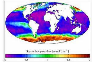 每年平均海水表面的磷酸鹽濃度