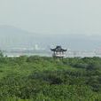 青山鎮(江蘇儀征市青山鎮)