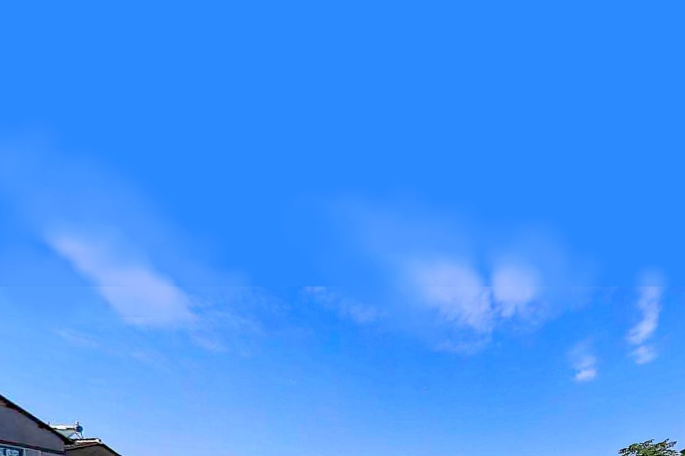 楊涇(長江流域太湖區黃浦江水系河道(寶山、嘉定界河)) 楊涇(長江流域太湖區黃浦江水系河道(寶山、嘉定界河))