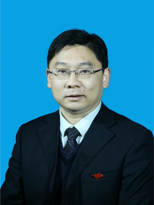 楊林(湖北省宜昌市西陵區審計局黨組書記、局長)