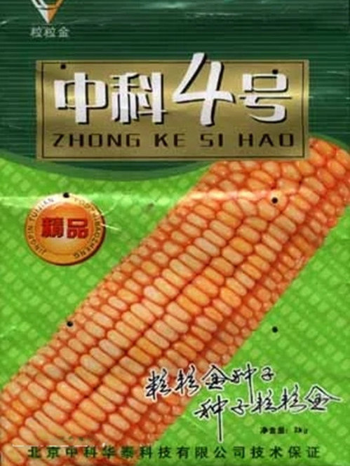 中科4號 中科4號