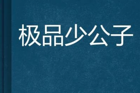極品少公子