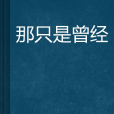 那只是曾經 那只是曾經