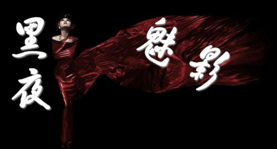 黑夜魅影(王引執導的一部劇情片) 黑夜魅影(王引執導的一部劇情片)