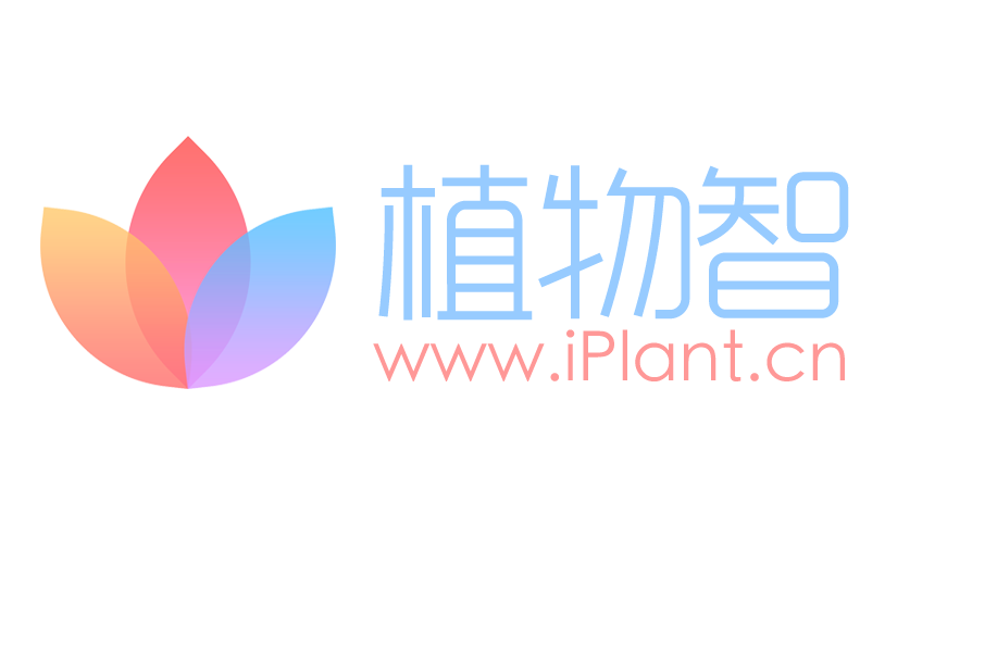 植物智 植物智