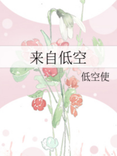 來自低空 來自低空