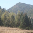 梅底村 梅底村
