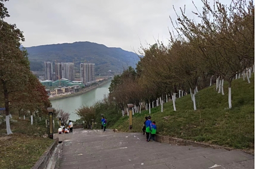 沙溪壩社區