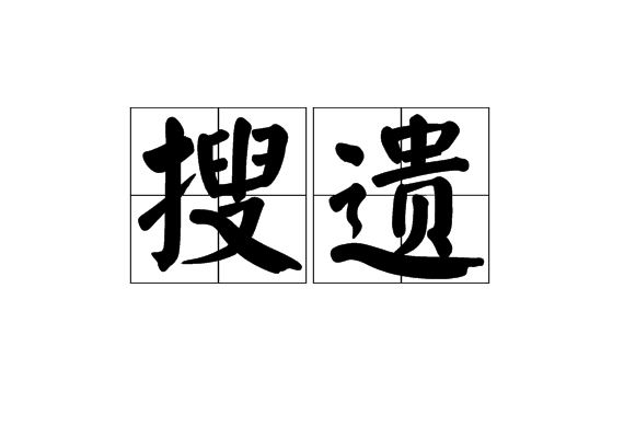 搜遺 搜遺