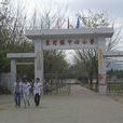 東河國小 東河國小