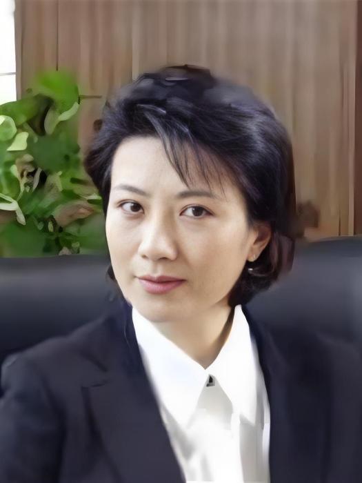 石亞南(電視劇《我主沉浮》中的虛構角色) 石亞南(電視劇《我主沉浮》中的虛構角色)