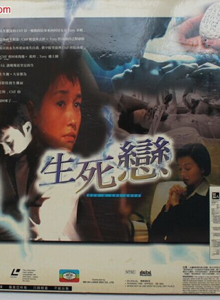 張智霖 張智霖