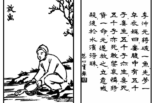 放魚(豐子愷《護生畫集》中的文章) 放魚(豐子愷《護生畫集》中的文章)