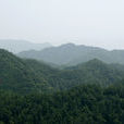 南崑山森林公園