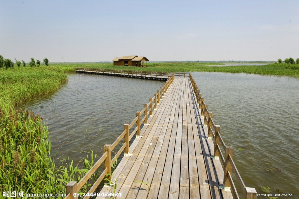 杭州大橋