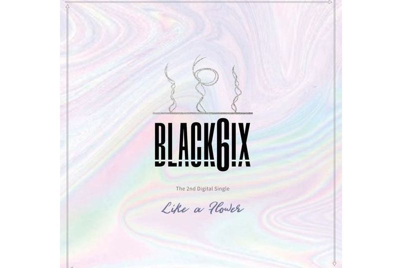 Like a Flower(韓國男子組合BLACK6IX演唱的歌曲) Like a Flower(韓國男子組合BLACK6IX演唱的歌曲)